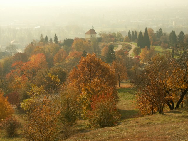 Dal snmek