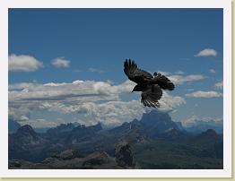 IMG_4846 * 2048 x 1536 * (581KB)