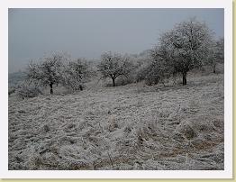 IMG_7490 * 2048 x 1536 * (1.42MB)