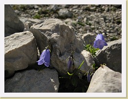 IMG_0147 * 2048 x 1536 * (716KB)