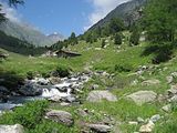 IMG_8272